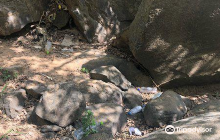 Muthiyangana Raja Maha Viharay...