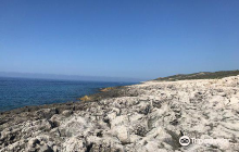 Purple Port (Porto roxa)