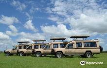 Wildersun Safaris  Tours Tanz...