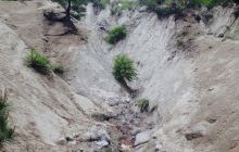 日本キャニオン