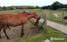 Robinstown Great Standing Ston...