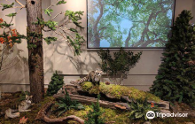 PoCo Heritage Museum and Archi...