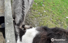 TEN - The Experiences Network