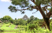 冈山城