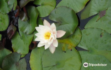 Celtic Park and Gardens