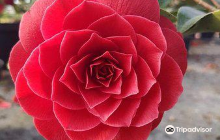 Westgate Heritage Tower