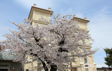 Too Gijyuku Gaijin Kyoshikan