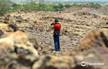 Akal Wood Fossil Park