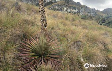 El Cajas National Park (Parque...