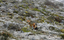 Palacio Compañía de Crédito...