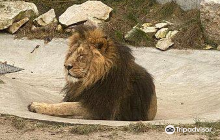 Krakow Zoo (Ogrod Zoologiczny)