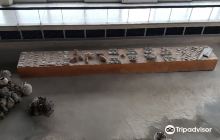 The Roman Edifice with Mosaic