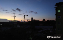 Orchid Foot  Body Reflexology