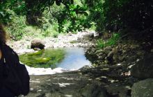 夏威夷自然中心