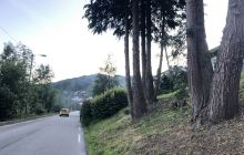 The Olav H. Hauge Centre