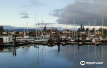 Deep Bay Marine Field Station