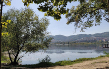 Grand Park (Parku i Madh)