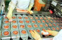 Hoengseong Theme Land