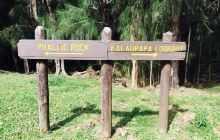 Dole Park