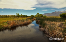 Owens River