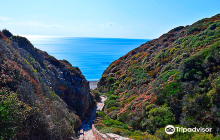 Παραλια Καλαδι