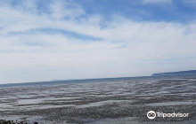 Blaine Healing Arts Massage Th...