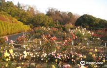 Old Fukuyama Bank Ruins Monume...