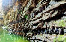 鸭石红豆杉景区