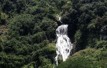 深圳市海滨园林绿化有限公司