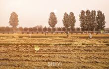 龙德李生态农业园