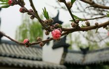 汉王诗书画院