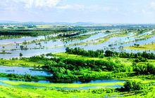 七星河湿地国家级自然保护区