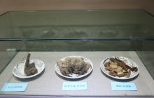 塔什库尔干塔吉克自治县博物馆