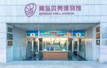 贝壳博物馆