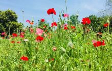 专项规划展示馆