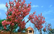 晚安家居文化园