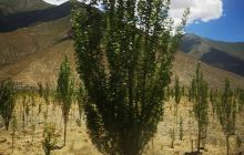 曲典尼玛尼姑庵