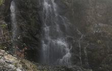 温岭江厦森林公园