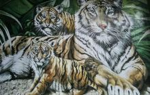 浅水湾音乐啤酒广场