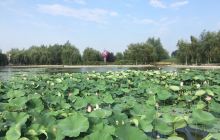 丁香科技博览园