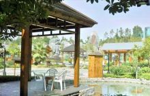 湘电灰汤温泉山庄