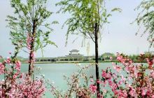 沙沟湖农业示范园