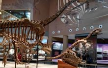 动物世界标本馆