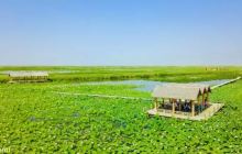 湿地公园博物馆