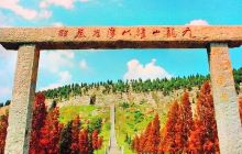九龙山墓群-摩崖石刻