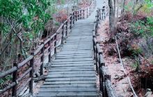 笔架山森林公园