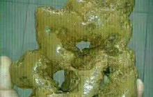 张自忠将军殉国处