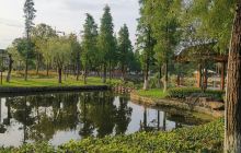 河泥荡公园北门自行车租凭店