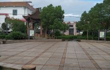 红盆绿蒂家庭农场（杨梅果园）