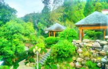 泰顺大峡谷温泉